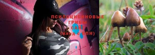 мяу мяу мука Белоозёрский