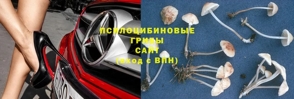 прущие крисы Богданович