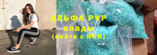 прущие крисы Богданович