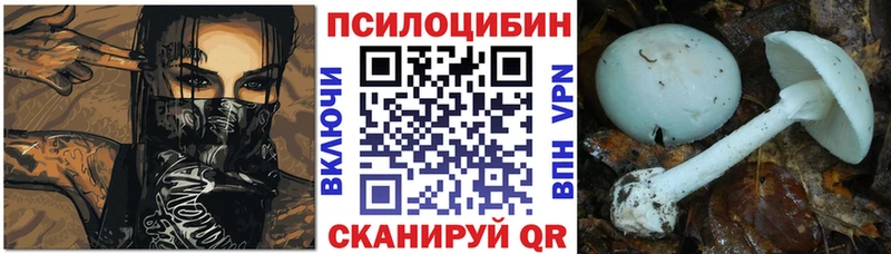 цены   Еманжелинск  Галлюциногенные грибы Psilocybine cubensis 